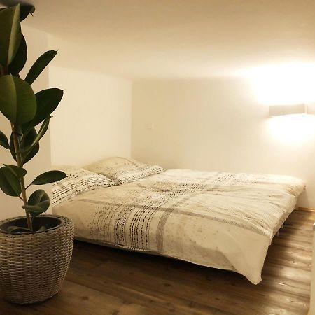 Stylish Loft Apartment City Center 维也纳 外观 照片