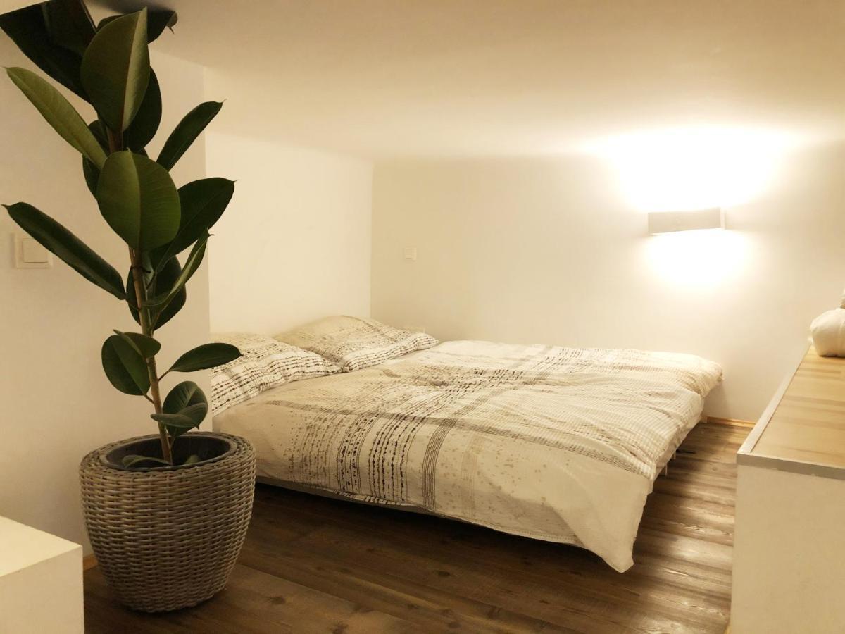 Stylish Loft Apartment City Center 维也纳 外观 照片